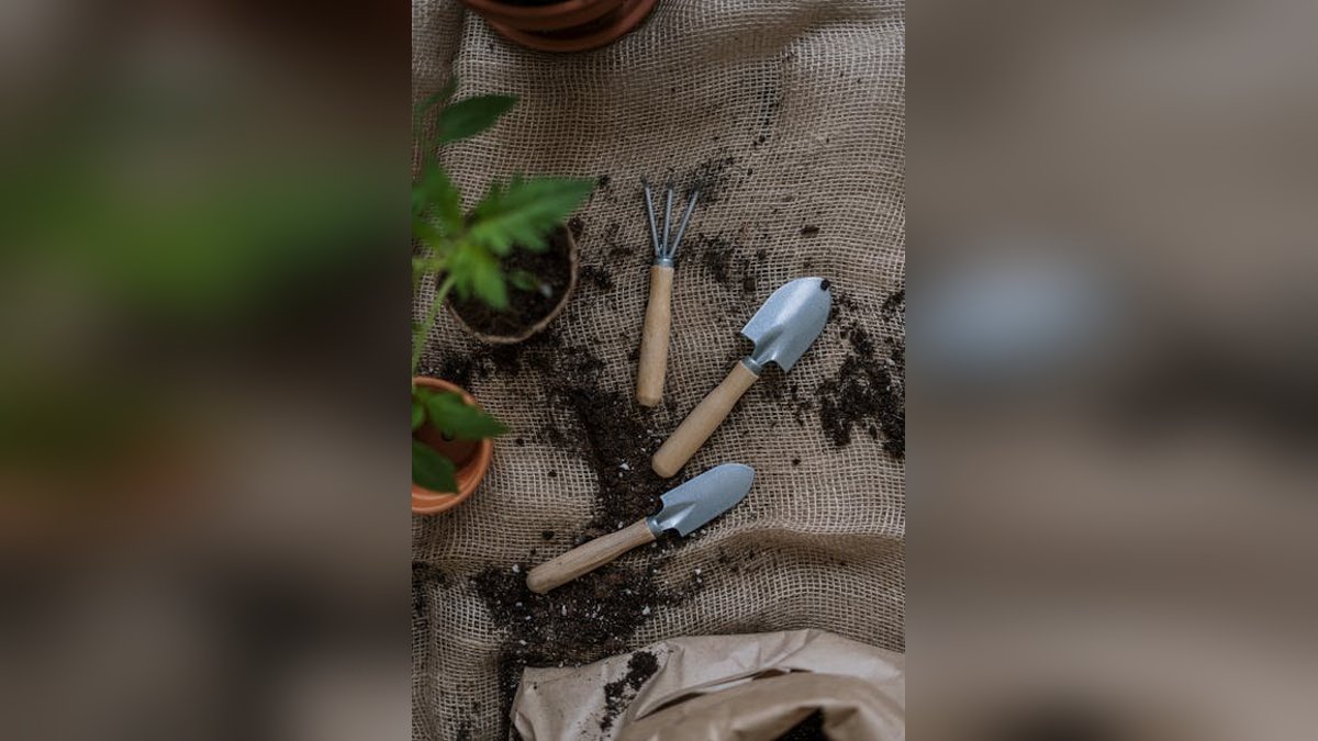 Small Space Gardening: Grow More in Less Room